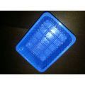 Envase plástico adaptable de alta calidad de la bandeja de la seta de la exhibición de la comida